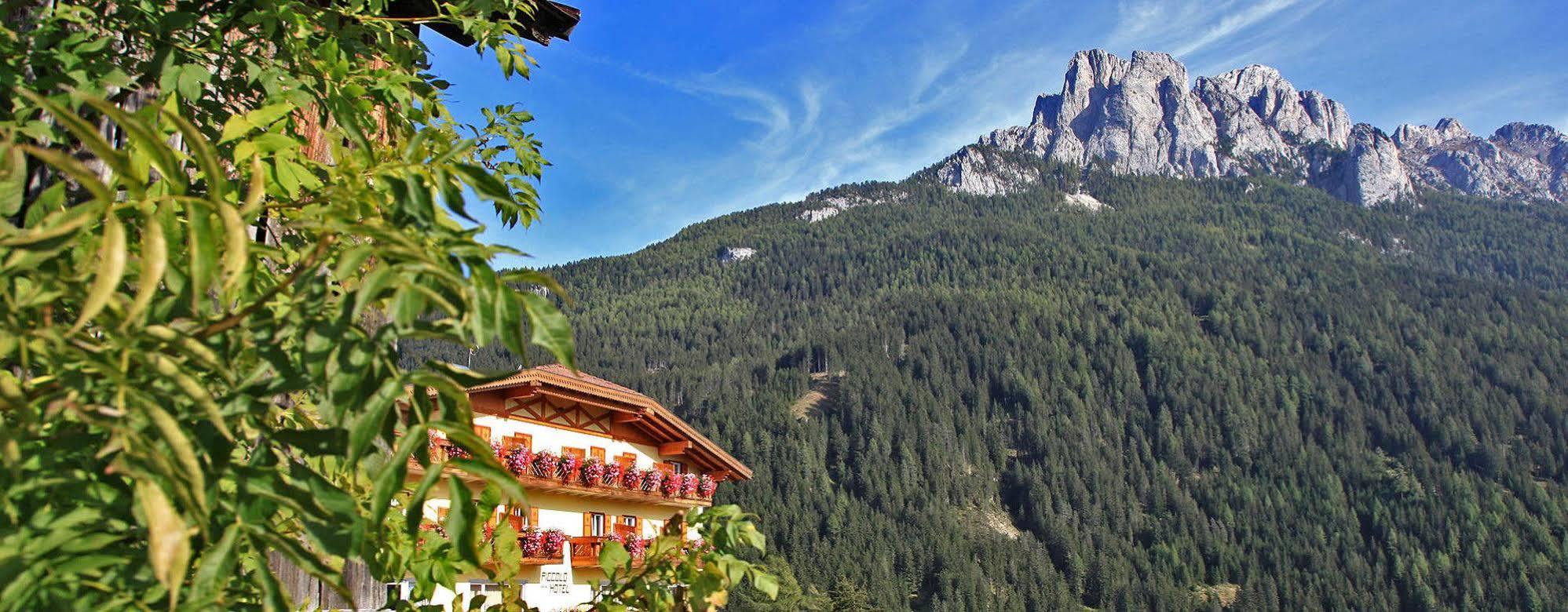 Al Piccolo Hotel فيغو دي فاسا المظهر الخارجي الصورة